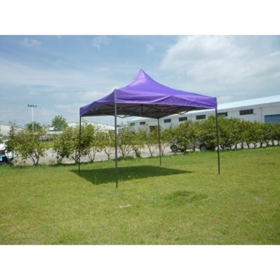 Canopy Tent 10 x 10 Commercial Fair Shelter Car Shelter Wedding Party Easy Pop Up   